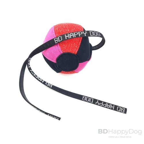 Piłka dla psa z uchwytami 20cm - materiał ringowy
